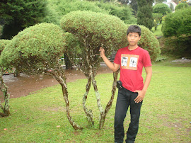 nom-noman biyen :D