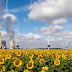  Récord de electricidad de energías renovables en Alemania