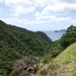 View album