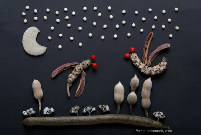 Creative pictures made of seed and seed pods