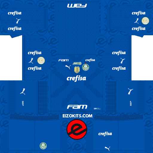 Palmeiras Kits 2023-2024 Puma - Brasileirao 2023 - DLS2019 Kits (Goalkeeper Away)