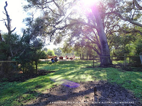 Caversham Wildlife Park, Perth Australia