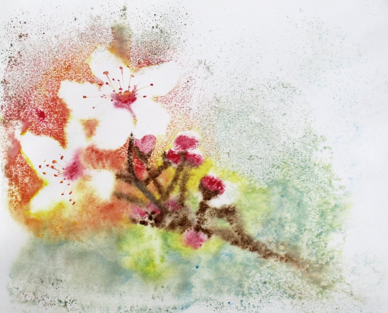 cherry tree drawing. cherry tree drawing in blossom