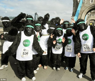 The Gorilla Run In London Seen On www.coolpicturegallery.net