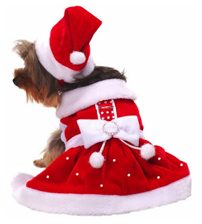  SANTA PAWS DRESS