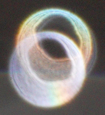 orb ring