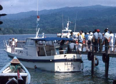 taman nasional, indonesia, jawa, taman nasional ujung kulon