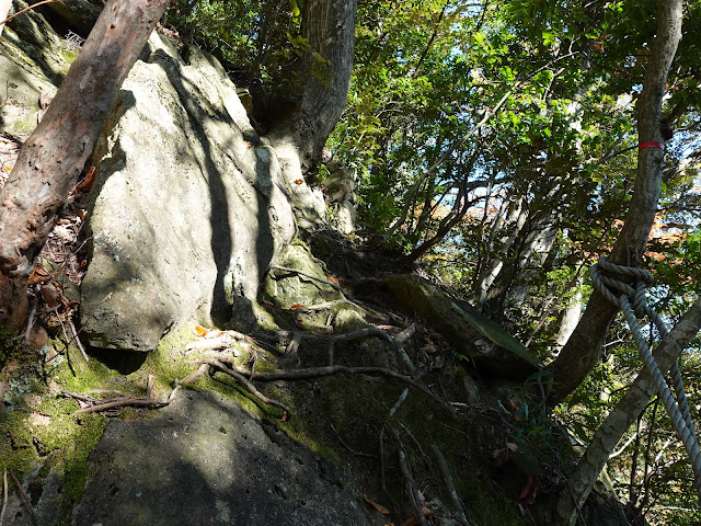 船上山の鱒返しの滝　これ「やめといたほうがいいみたいです」