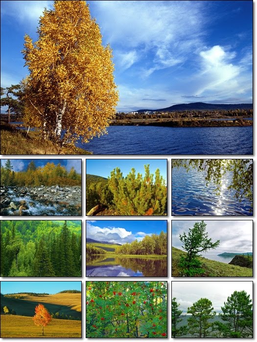 Autumn in Siberia Desktop Wallpapers Pack