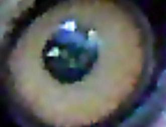 Lion Eye