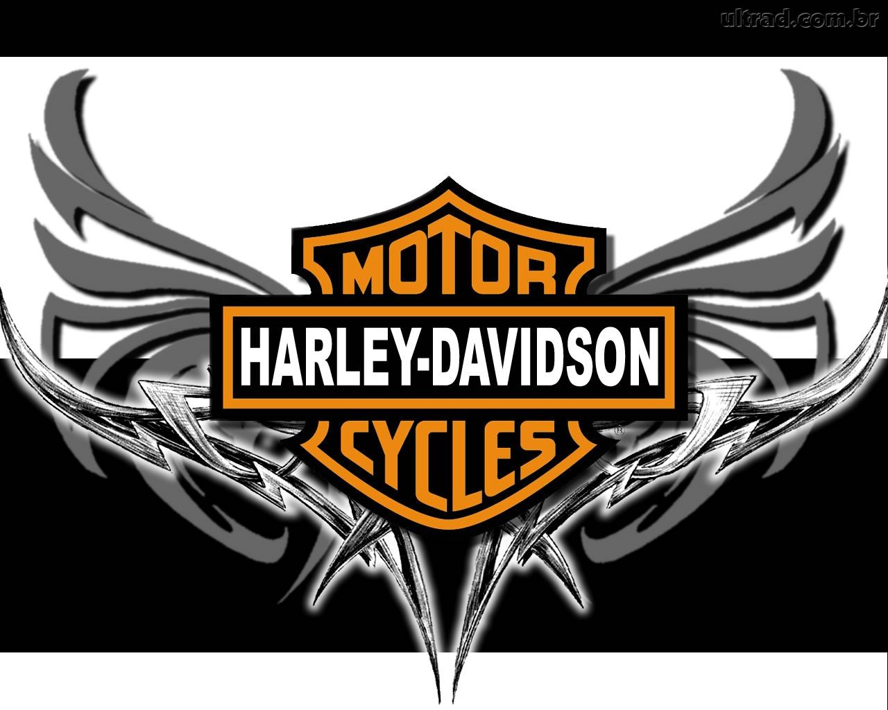 Gambar Gambar Motor Harley  Davidson  Gambar Unik Keren  