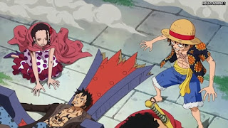 ワンピースアニメ ドレスローザ編 680話 ルフィ トラ男 ヴィオラ | ONE PIECE Episode 680