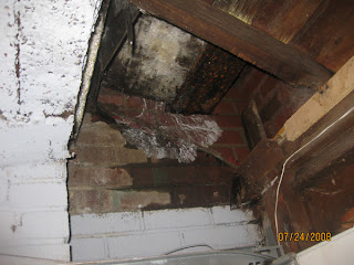 mold removal NYC