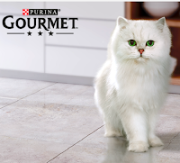 Concorso Purina "Memory" : vinci gratis 200 forniture Gourmet