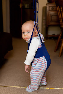 How to Select the Finest Baby Jumper