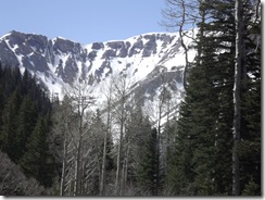 DSCF3808
