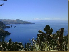 vue-sur-vulcano-cactus