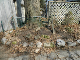 Riverdale Spring Cleanup Before by Paul Jung Gardening Services--a Toronto Organic Gardening Company