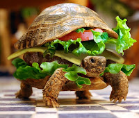 Bacon Turtle Burger8