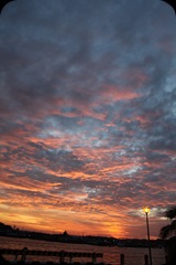 IMG_1247