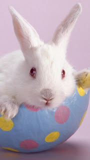 Free Download Easter Bunny iPhone 5 HD Wallpapers