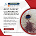 Best Carpet Cleaning in Freehold NJ