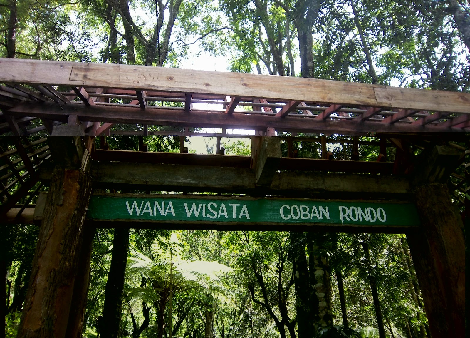 Download this Wisata Air Terjun Coban Rondo picture