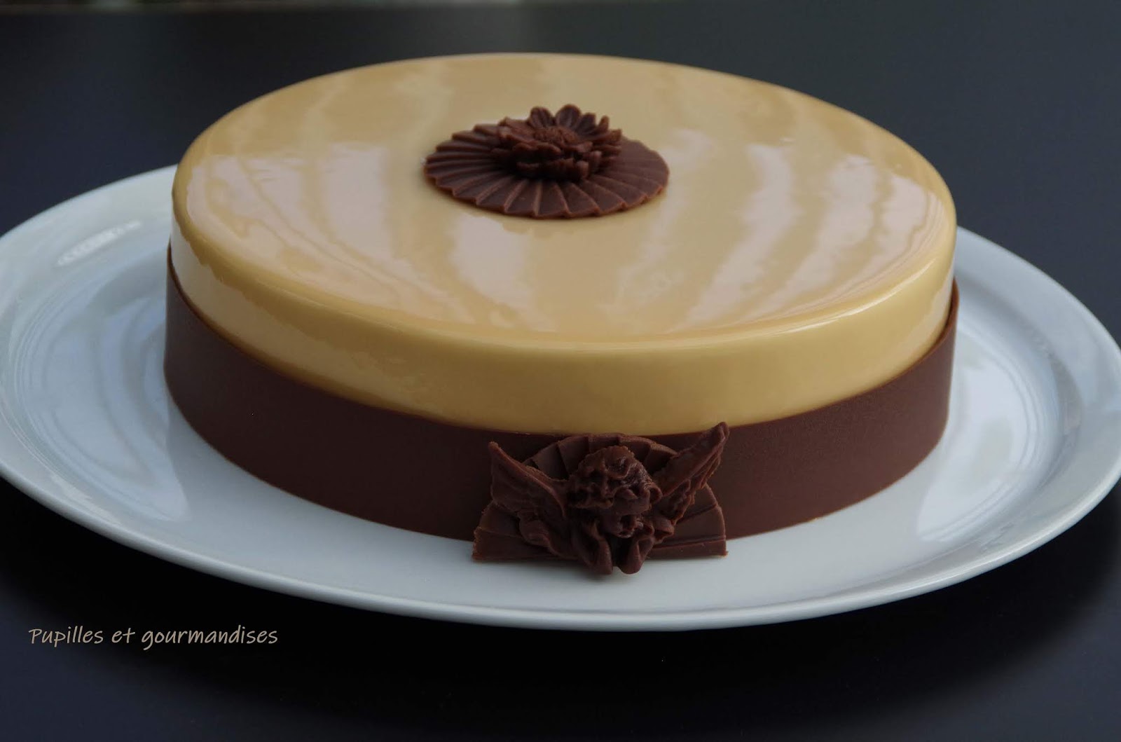 Entremet Dulcey Mangue Passion