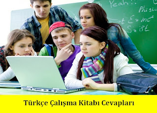 7. Sınıf Türkçe Efecan Yayınları Ders Kitabı Cevapları