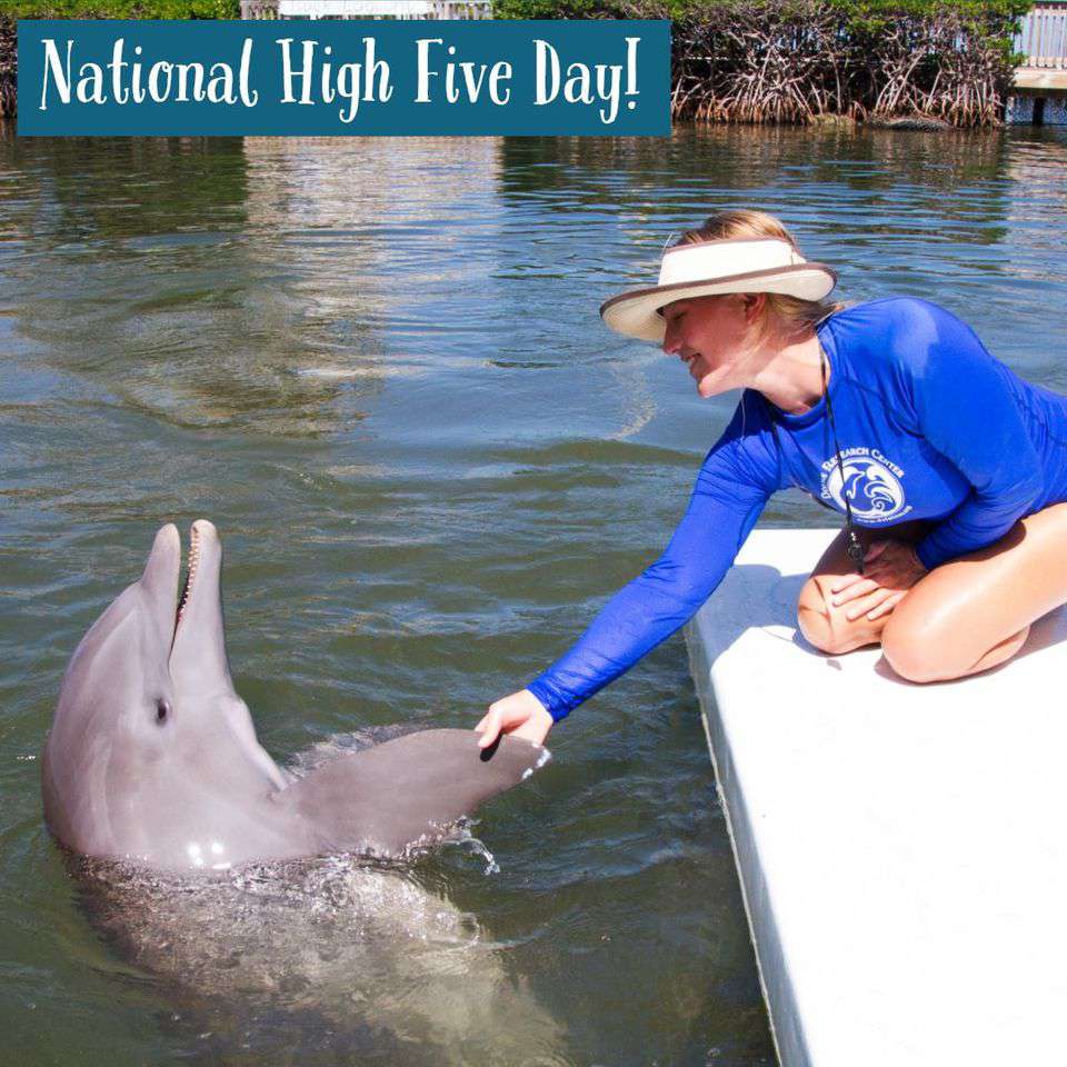 National High Five Day Wishes Pics