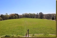 IMG_4971 IMG_4971