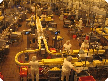 2010-07-15 Tillamook 005 (2)