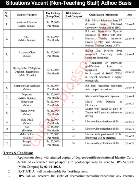 Most recent Mali Occupations in Okara February 2023 Promotion