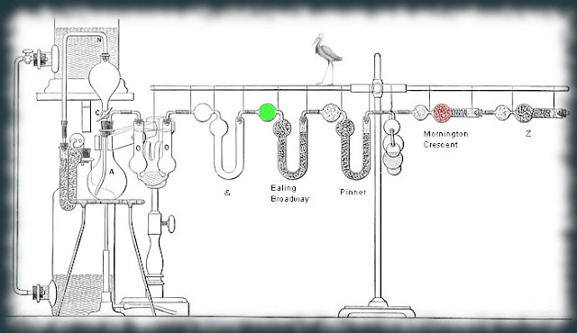 The DLS Experiment