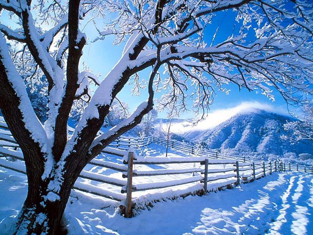 Nature Desktop Wallpaper Winter Wallpaper Express Is All About