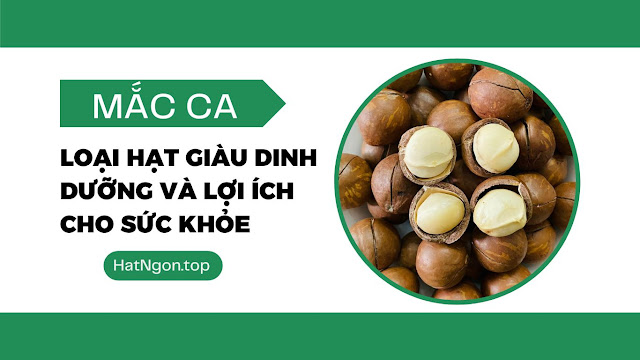 MẮC CA - TỔNG QUAN VỀ LOẠI HẠT GIÀU DINH DƯỠNG