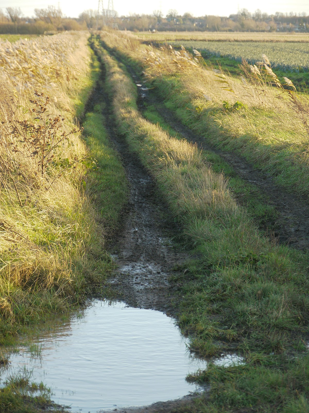 P1020025.JPG