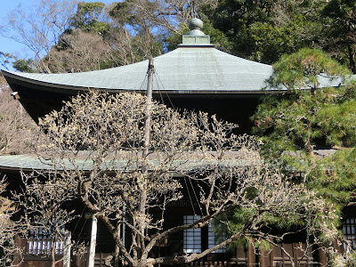  瑞泉寺のオウバイ