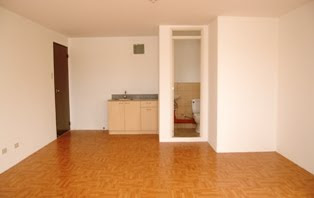 I almost backed out from buying the condo unit when I first saw this in person.