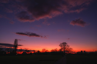 Wildlifefotografie Naturfotografie Sonnenuntergang Lippeaue Olaf Kerber