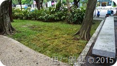 IMAG0749