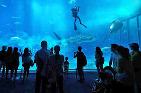 aquarium, fish, people, tourists, Okinawa