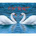 दो हंसों की कहानी -पंचतंत्र हिंदी कहानी 