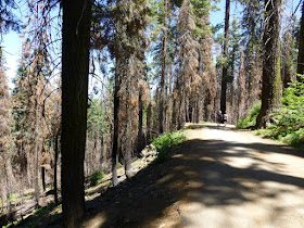 parc national de Yosemite