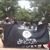 Group demands probe of Boko Haram video