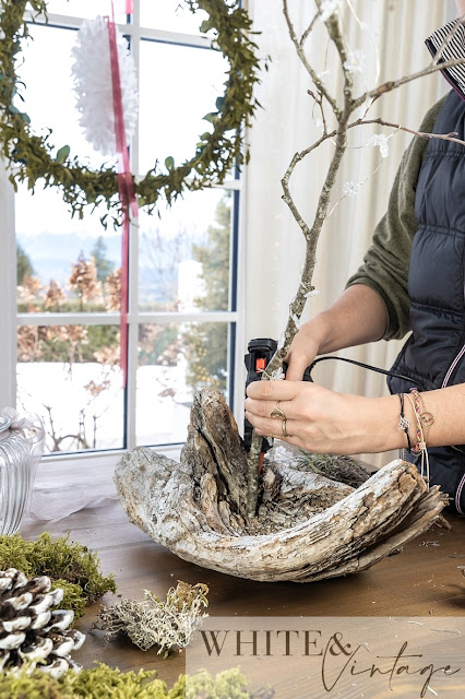 Baumwurzel dekorieren. DIY-Winterdeko aus Naturmaterialien.