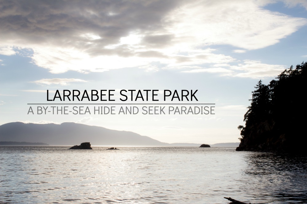 Larrabee State Park