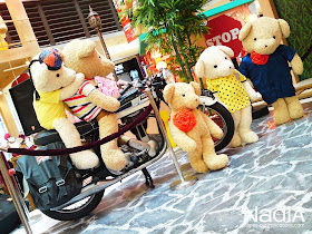 Bear ride a bike