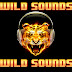 WILD SOUND (OCTUBRE 2019)