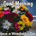 Top 10 Good Morning ji  Wishes.Images greeting Pictures,Photos for Whatsapp